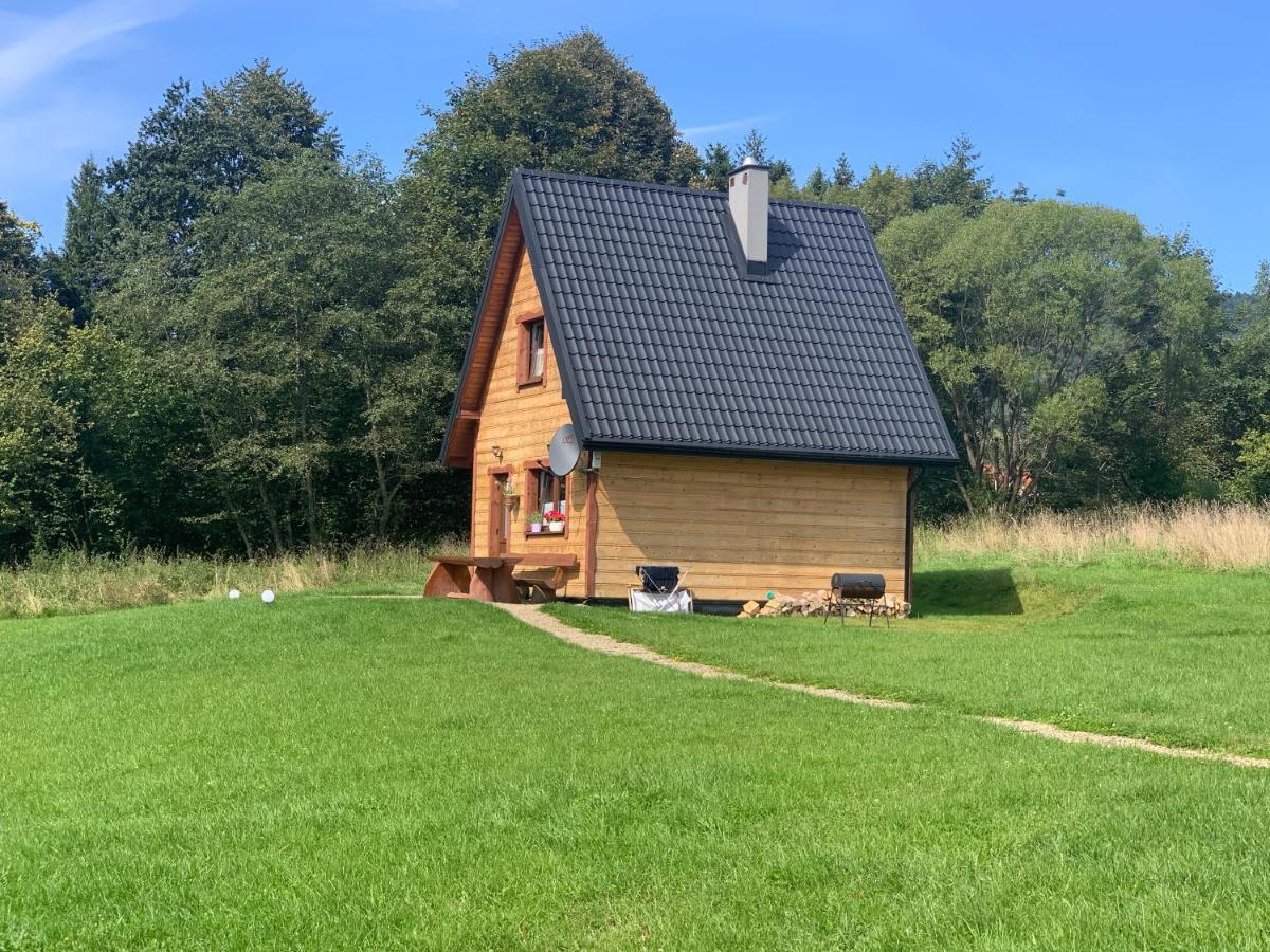 Dwernik Bukowina Bieszczady Villa Kültér fotó