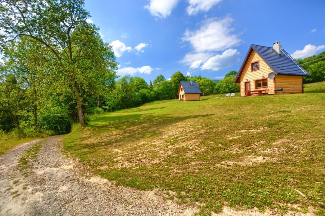 Dwernik Bukowina Bieszczady Villa Kültér fotó