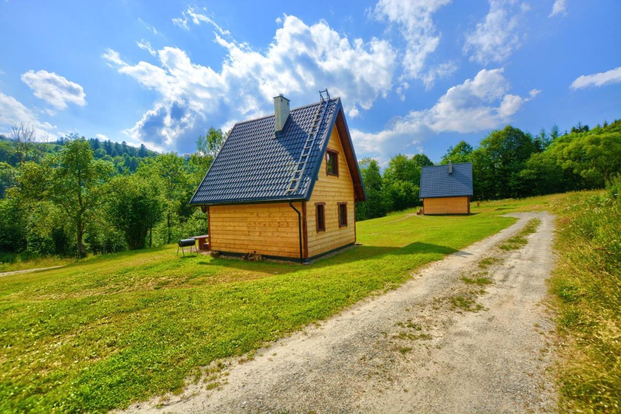 Dwernik Bukowina Bieszczady Villa Kültér fotó