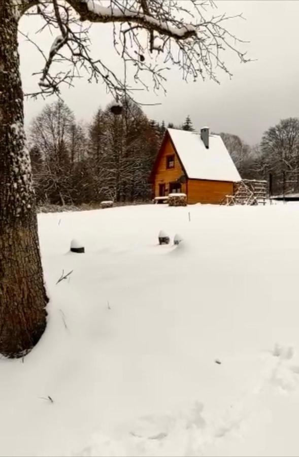 Dwernik Bukowina Bieszczady Villa Kültér fotó